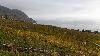 2_ ... en Lavaux ...