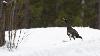 Au retour, un Grand T�tras ...