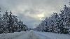 Enfin ... la neige saupoudre les arbres ... pour mon d�part !