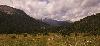 ... dans le Parc national ...