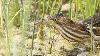 ... tente une discr�te sortie