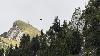Dans les Pr�alpes fribourgeoises, un Vautour fauve ...