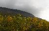 Saanatunturi (montagne typique de Laponie) toise de ses quelque 500 m�tres ...