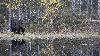 ... la raison de son effroi, l� voil� !