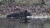 Fort appr�ci� ...