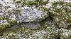 ... la neige saupoudre � peine les reliefs ...