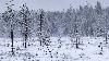 Il neige ...