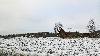 ... � mon arriv�e dans le sud de la Finlande ...