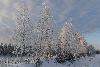 ... r�duits � l'�tat de squelettes ...