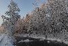 ... la neige crisse sous nos pas ...