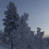 ... dans le froid polaire ...