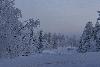 ... il fait -36� !
