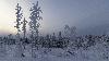 ... dernier regard sur cette Finlande hivernale envo�tante.