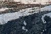 M�re ours et ses oursons en Su�de (photo prise depuis un promontoire � pr�s d'un km de distance) ...