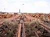Scierie enti�rement automatis�e : impressionnant ...