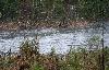 Apr�s une semaine avec des temp�ratures avoisinant l'apr�s-midi les 30� ... la neige vers 5 heures du matin !