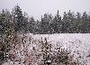 ... la neige continue de tomber ...