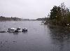 Apr�s la neige ... la brume se l�ve
