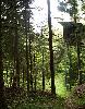 Premier aff�t depuis le mirador : 4 heures sans succ�s ! Mais, sur le chemin du retour, nous entendons la Chouette de l'Oural : saisissant ! Lors d'un autre aff�t, nous la verrons en vol. Un proverbe slov�ne dit qu'une Chouette de l'Oural vaut dix ours !!!
