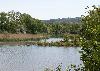 B�ren an der Aare