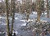 La Venoge a d�bord� ... le froid est venu