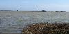 Etang de Bages