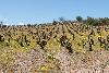 Ce vignoble est situ� sur les collines (on parle de vignerons de montagne !)