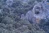 ... jusqu'au moment o� il quitte ce piton rocheux  (trop tard pour la photo !)