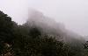 Ch�teau de Peyrepertuse �galement dans le brouillard : ch�teau cathare b�ti en 1070 sur une cr�te rocheuse � 800m d'altitude, il est le plus impressionnant !