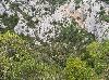Il fallait vouloir se rendre � pied � l'ermitage de Galamus !