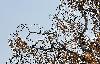 ... en automne ...