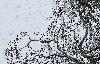  ... en hiver