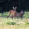 ... la famille reste r�unie.