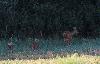 La m�re donne, sans se presser, le signal du d�part.