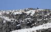 Sur la cr�te, un chamois se repose ...