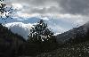 La Gemmi �tant dans le brouillard, nous partons � pied du c�t� de Birchen ...