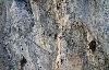 Au Hohe Br�cke, en dessus des gorges du Feschelbach ... � force de chercher dans la falaise, on le voit enfin ...