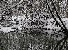 Venoge enneig�e