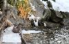  ... il guette pr�t � plonger ...