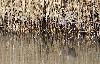  ... le voil� en vol ...