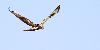 ... qui pratique r�guli�rement ...