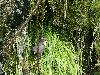 ... derri�re une cascade ...