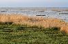 Premier soir pr�s d'Oulu, au bord du Golfe de Bothnie