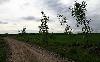 Paysage tr�s diff�rent : des champs dans une grande clairi�re.