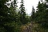 Le chemin qui monte au sommet est parfois rude. 