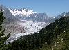 A la sortie de la for�t d'Aletsch, magnifique coup d'oeil sur le glacier d'Aletsch !