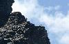 ... ils appr�cient tout particuli�rement ...