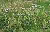 A Foppa, changement de d�cors ...