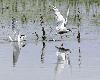 Photos