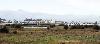 Le village d'El Roc�o ...